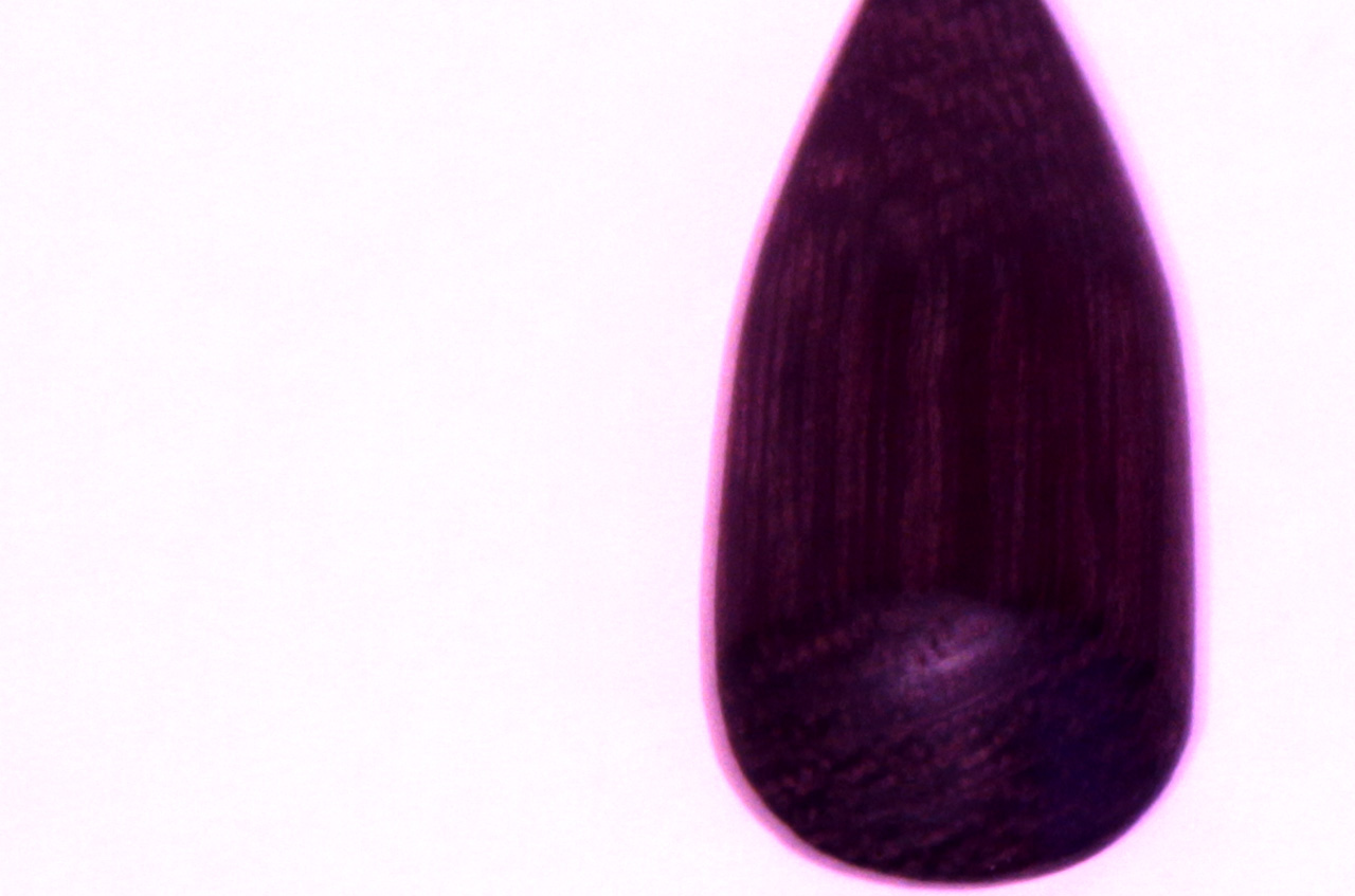 winewood4 Серьги капли из амаранта крупный план